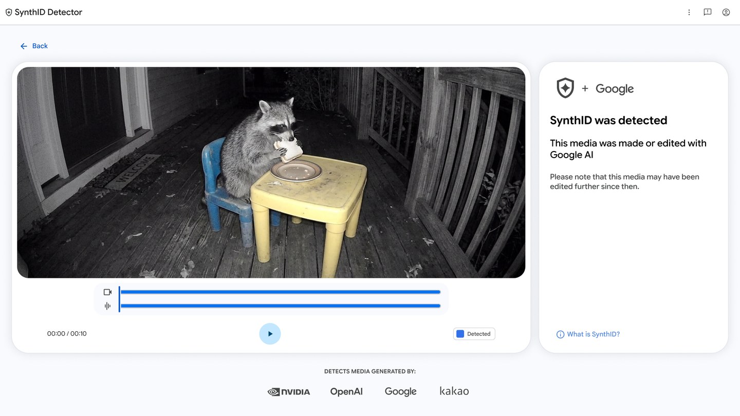 หน้าจอ SynthID Detector แสดงผลตรวจพบลายน้ำ SynthID ในคลิปแรคคูนนั่งกินขนมปังที่โต๊ะเด็ก