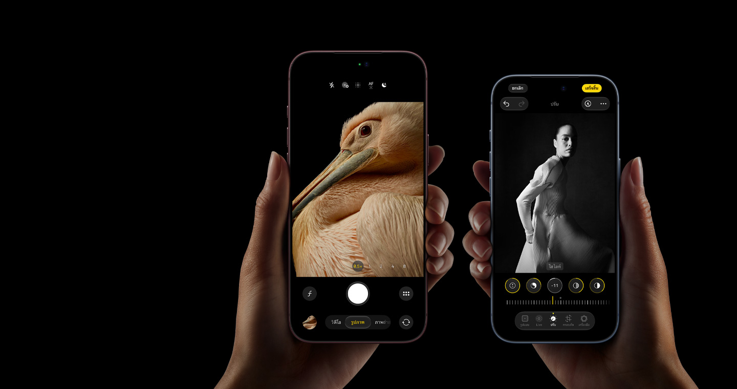 ภาพ iPhone สองขนาดในมือ เครื่องด้านซ้ายแสดงภาพนกและเครื่องด้านขวาแสดงภาพบุคคลขาวดำ